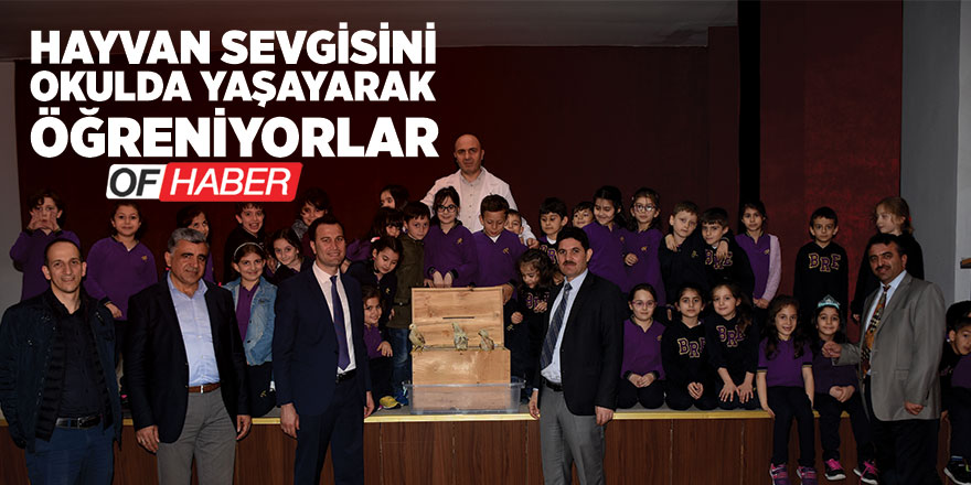 Hayvan Sevgisini Okulda Yaşayarak Öğreniyorlar