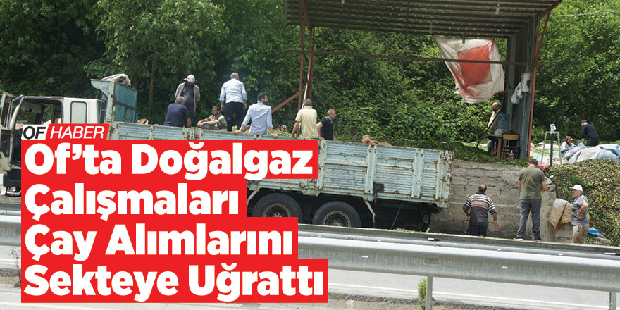 Of’ta Doğalgaz Çalışmaları Çay Alımlarını Sekteye Uğrattı