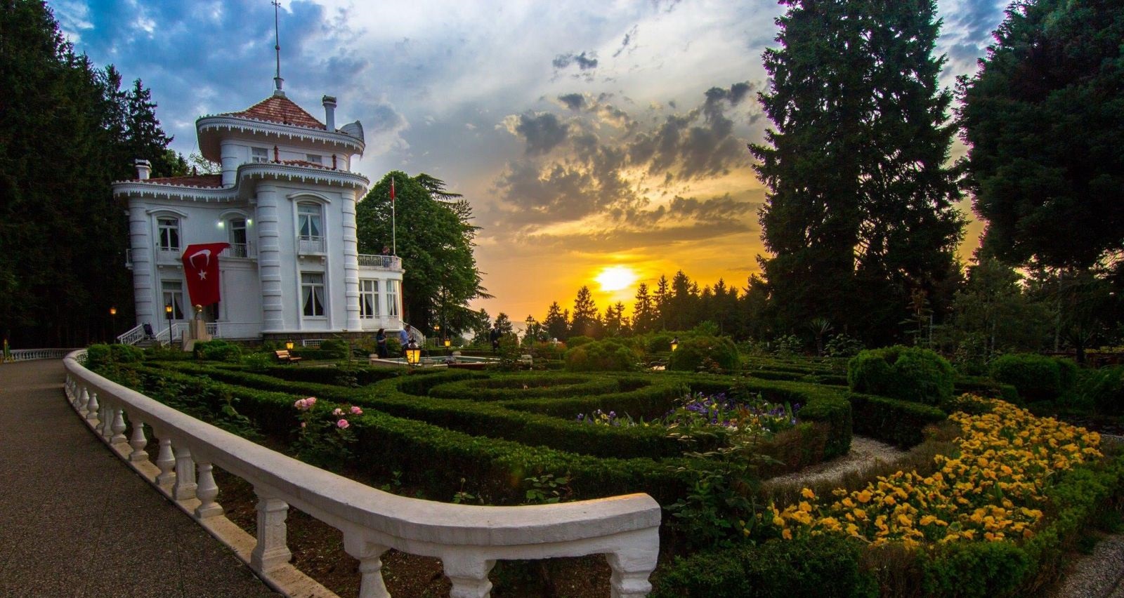 Atatürk Köşkü Ormanı'ndaki Ağaçların Neden Kuruduğu Araştırılıyor