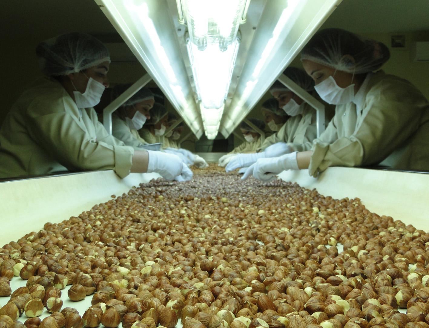 Fındık İhracatının Yüzde 38'i Trabzon'dan