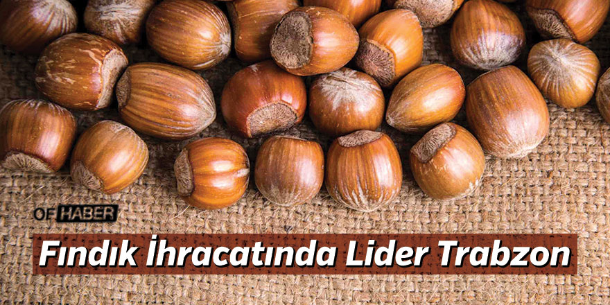 Fındık İhracatında Lider Trabzon