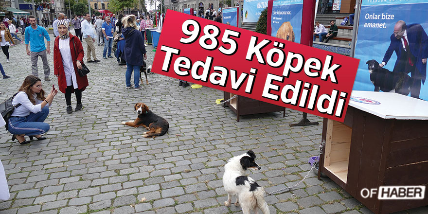 Trabzon'da 985 Köpek Tedavi Edildi