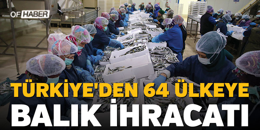 Türkiye'den 64 Ülkeye Balık İhracatı