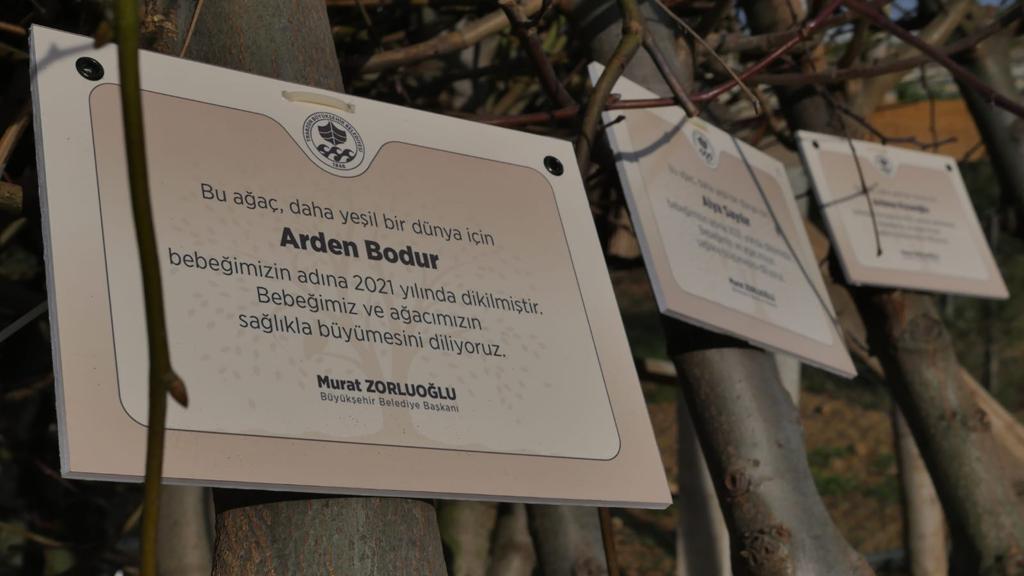 2020 YILINDA TRABZON'DA DOĞAN HER BEBEK İÇİN BİR AĞAÇ DİKİYOR