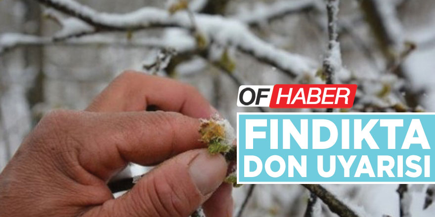 Fındıkta Don Uyarısı