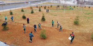 Trabzon'da Ağaçlandırma Çalışmaları