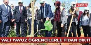 21 Mart Dünya Ormancılık Günü Ve Orman Haftası