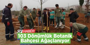 Trabzon'un 103 Dönümlük Botanik Bahçesi Ağaçlanıyor