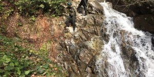 Jandarma Timleri Kırsalda Arama Tarama Yaptı