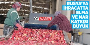Rusya'ya İhracata Elma Ve Nar Katkısı