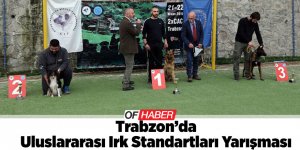 Uluslararası Irk Standartları Yarışması