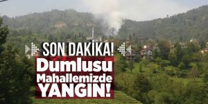 Dumlusu Mahalle’mizde Yangın