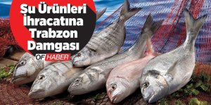 Su Ürünleri İhracatına "Trabzon" Damgası