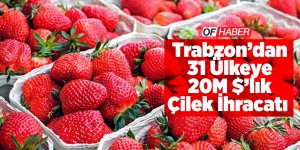 Trabzon'dan 31 Ülkeye Çilek İhracatı