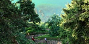 Çamburnu Tabiat Parkı