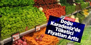 Doğu Karadeniz'de Tüketici Fiyatları Arttı