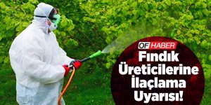 Fındık Üreticilerine İlaçlama Uyarısı