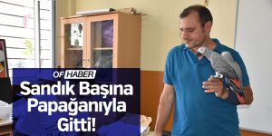 Sandık Başına Papağanlarıyla Gitti