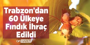Trabzon'dan 60 Ülkeye Fındık İhraç Edildi