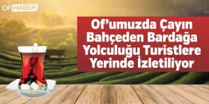 Of’umuzda Çayın Bahçeden Bardağa Yolculuğu Turistlere Yerinde İzletiliyor