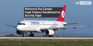 Motoruna Kuş Çarpan Uçak Trabzon Havalimanı'na Acil İniş Yaptı