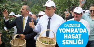 Trabzon'da 'Hasat Şenliği'