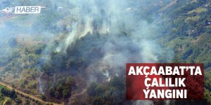 Trabzon'da Çalılık Yangını