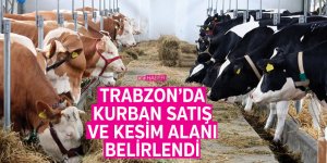 Trabzon'da Kurban Satış Ve Kesim Alanı Belirlendi