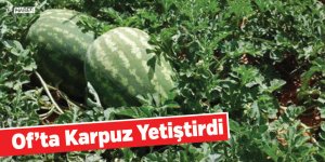 Of’ta Karpuz Yetiştirdi