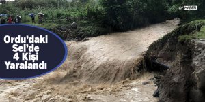 Ordu'daki Sel