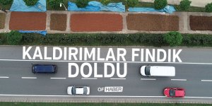Karadeniz'in Kaldırımları Fındıkla Renklendi