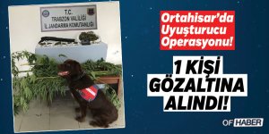 Trabzon'da Uyuşturucu Operasyonu