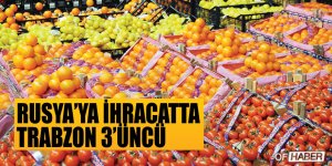 Trabzon'un Rusya'ya Yaş Meyve Sebze İhracatı Arttı