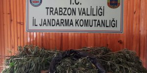 Trabzon'da Uyuşturucu Operasyonu