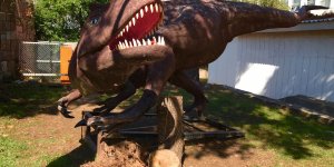 Ktü'de Doğa Müzesi Oluşturulacak