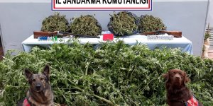 Trabzon'da Uyuşturucu Operasyonu