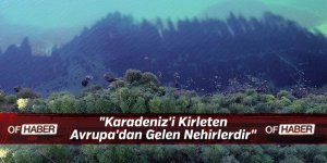 "Karadeniz'i Kirleten Avrupa'dan Gelen Nehirlerdir"