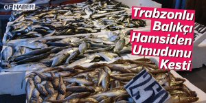 Trabzonlu Balıkçı Hamsiden Umudunu Kesti