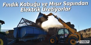 Fındık Kabuğu Ve Mısır Sapından Elektrik Üretiyorlar