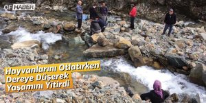 Hayvanlarını Otlatırken Dereye Düşerek Yaşamını Yitirdi