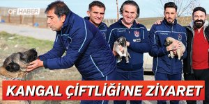 Ünal Karaman İle Sosa'dan Kangal Köpeği Çiftliğine Ziyaret