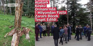 Atatürk Köşkü Ormanı'nda 1 Milyondan Fazla Zararlı Böcek Tespit Edildi