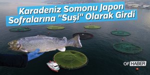 Karadeniz Somonu Japon Sofralarına "Suşi" Olarak Girdi