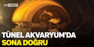 Tünel Akvaryum'da Sona Doğru