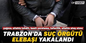 Trabzon'da Suç Örgütü Elebaşı Yakalandı