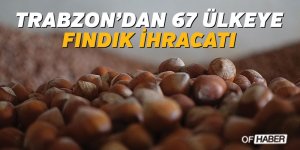 Trabzon'dan 67 Ülkeye Fındık İhracatı