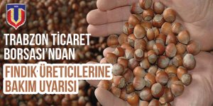 Fındık Üreticilerine Bakım Uyarısı