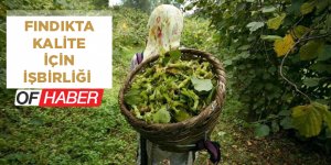 Fındıkta Kalite İçin İşbirliği