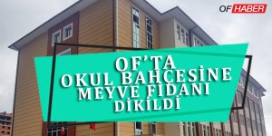 Okul Bahçesine Meyve Fidanı Dikildi