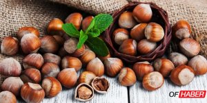 Türkiye'nin Fındık İhracatının Yüzde 45'i Trabzon'dan Gerçekleştirildi